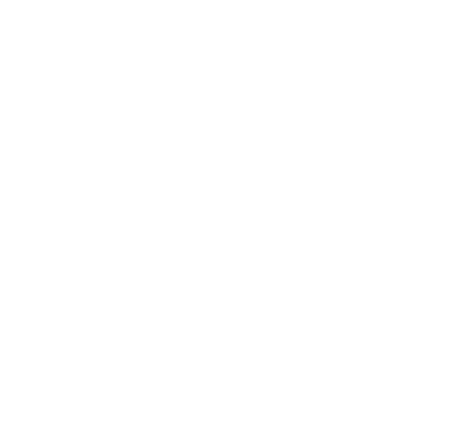 car-icon
